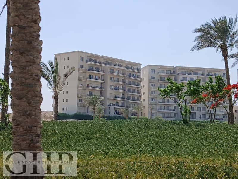 4 522dcc2d-d2fa-475f-ae9a-3675c61169df. jpg