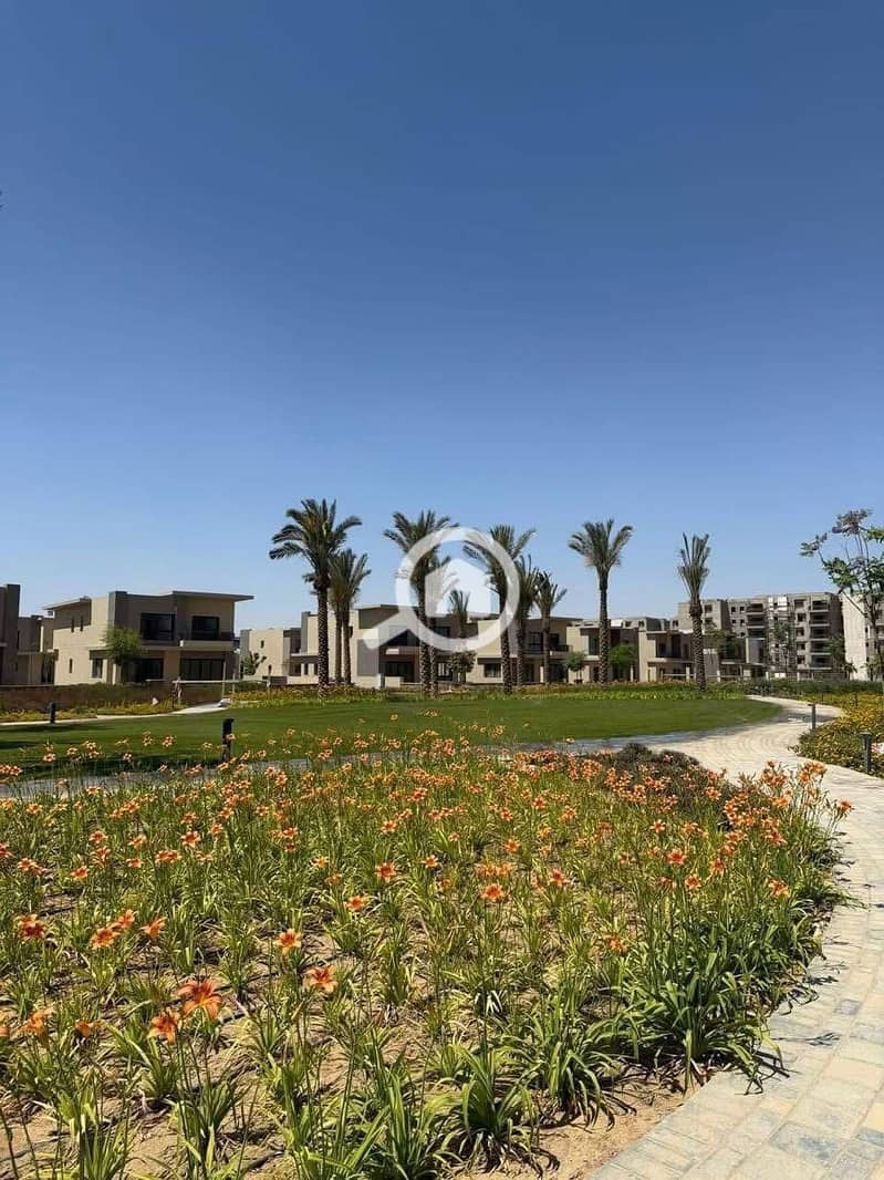 4 WhatsApp Image 2025-09-11 at 2.42. 12 AM. jpeg