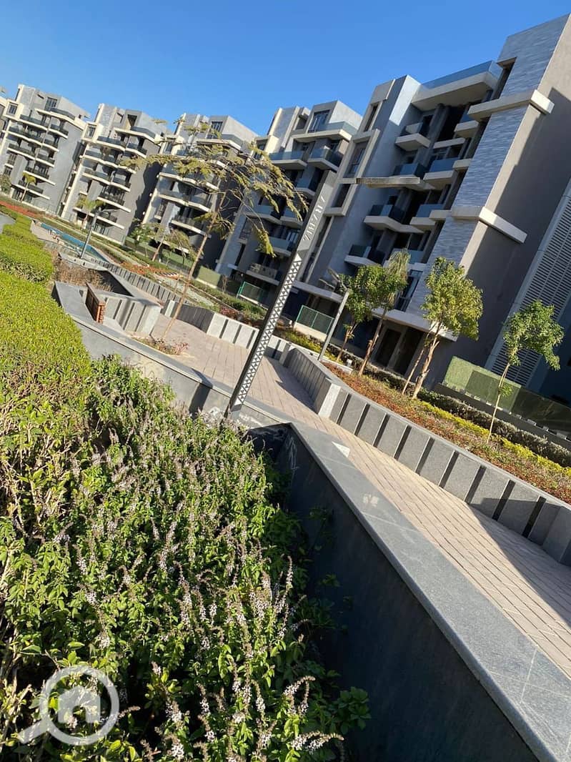 26 photo_29_2026-01-25_17-21-51. jpg