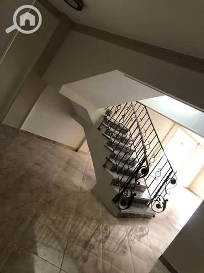 دوبلكس 4 غرف نوم للايجار في القاهرة الجديدة، القاهرة - WhatsApp Image 2026-01-24 at 8.11. 04 PM. jpeg