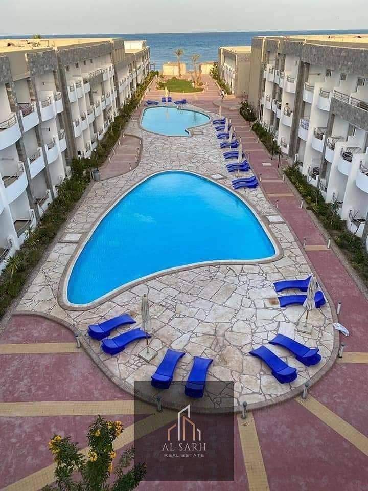 4 198271621_122257556685029_327859949849491598_n. jpg