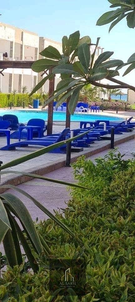 13 600278344_25924298433820337_1645717349455422154_n (1). jpg