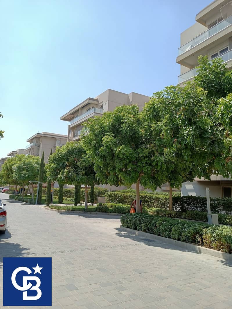 9 546556303_24394709840198616_4059357331606246179_n. jpg