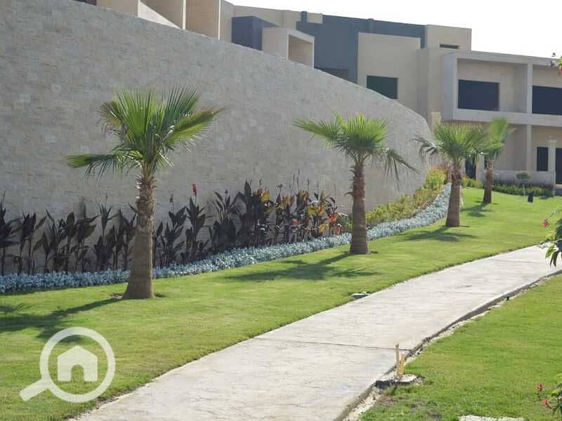 4 5cf81957-df05-466b-87ca-8ef72c74b2a4. jpg