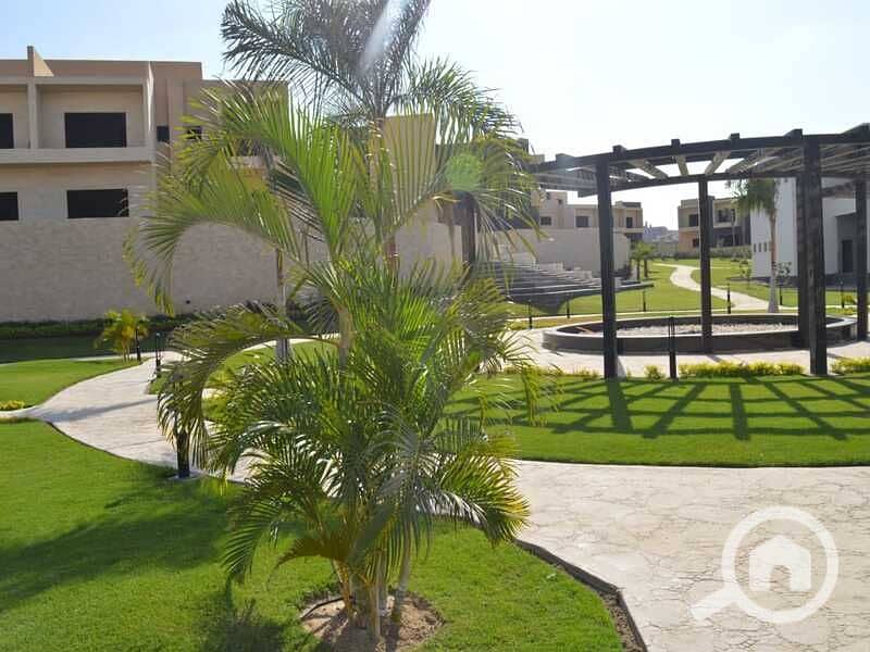 5 8c19afe3-e90f-4e91-9b7a-354ed1b2033d. jpg