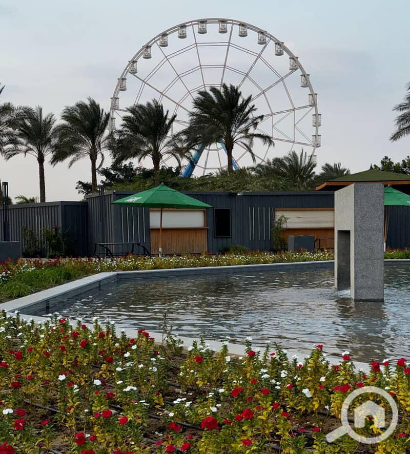 7 Screenshot 2026-01-25 171006. png