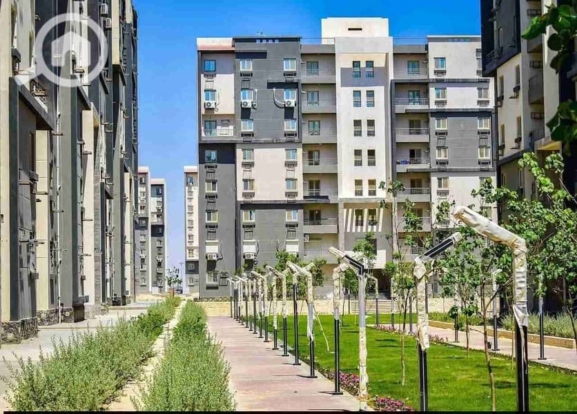 1000223908. jpg 1000223908. jpg