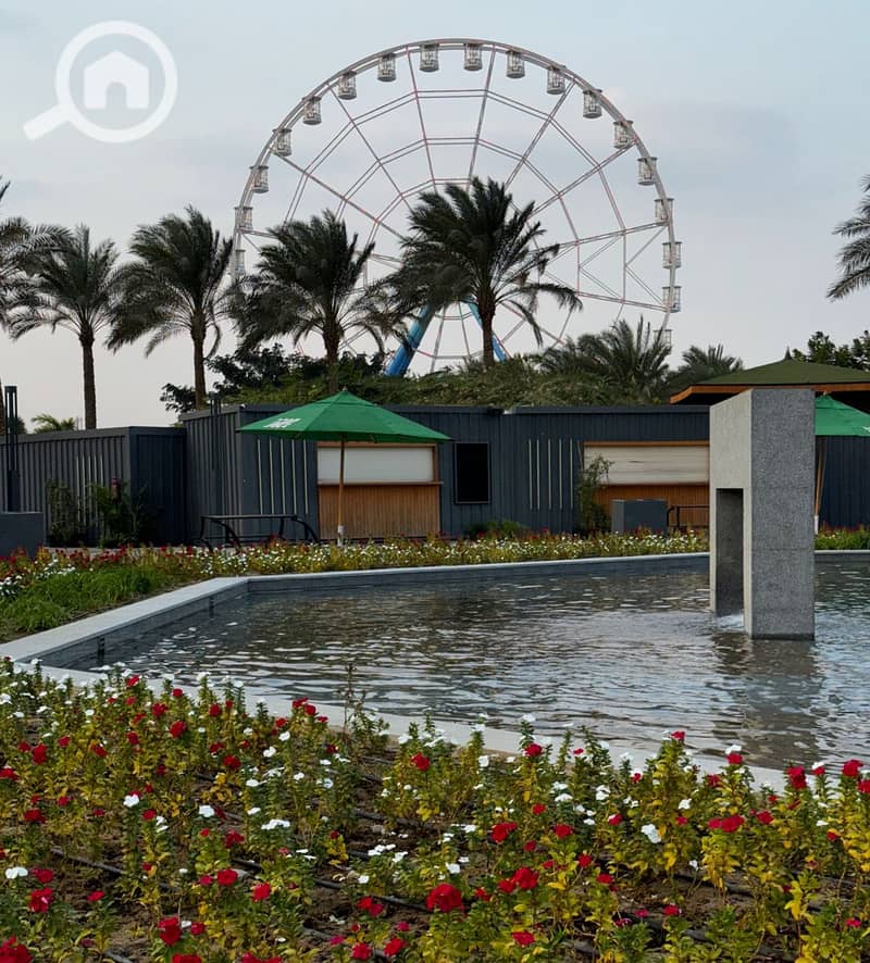 7 Screenshot 2026-01-25 171006. png