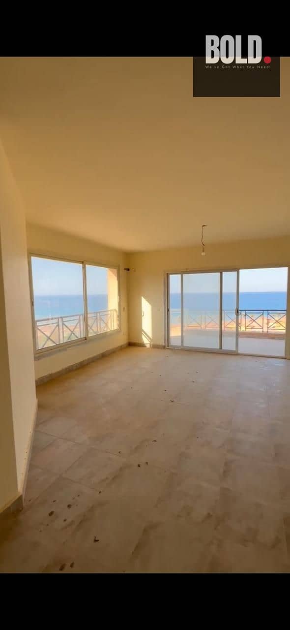 2 WhatsApp Image 2025-05-12 at 17.57. 00_8186c6df. jpg