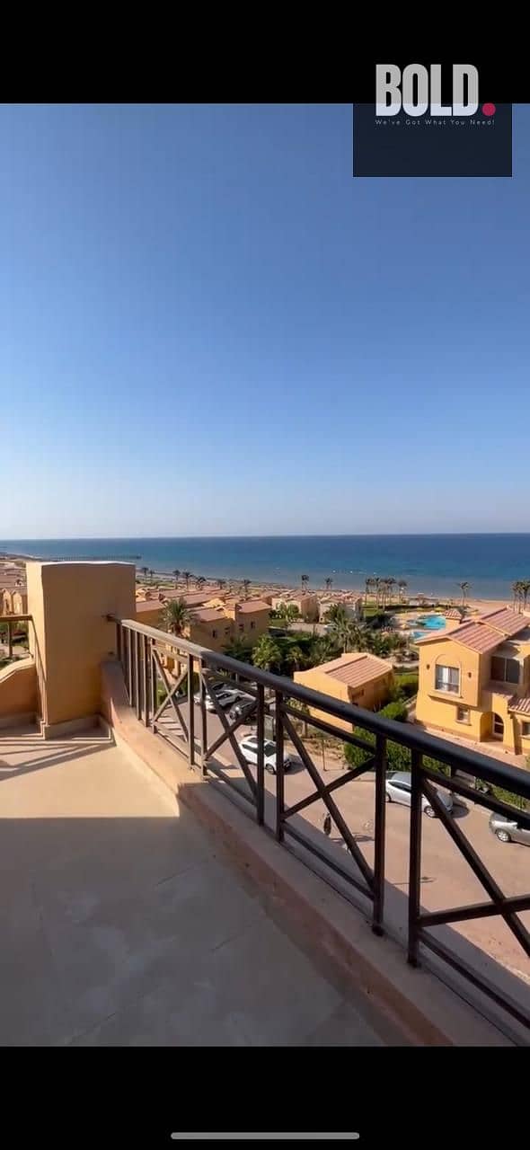 3 WhatsApp Image 2025-05-12 at 17.57. 02_92aa2f3c. jpg