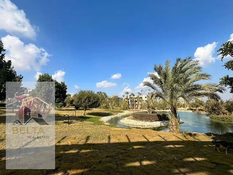 8 1312x8964_800x600. jpg