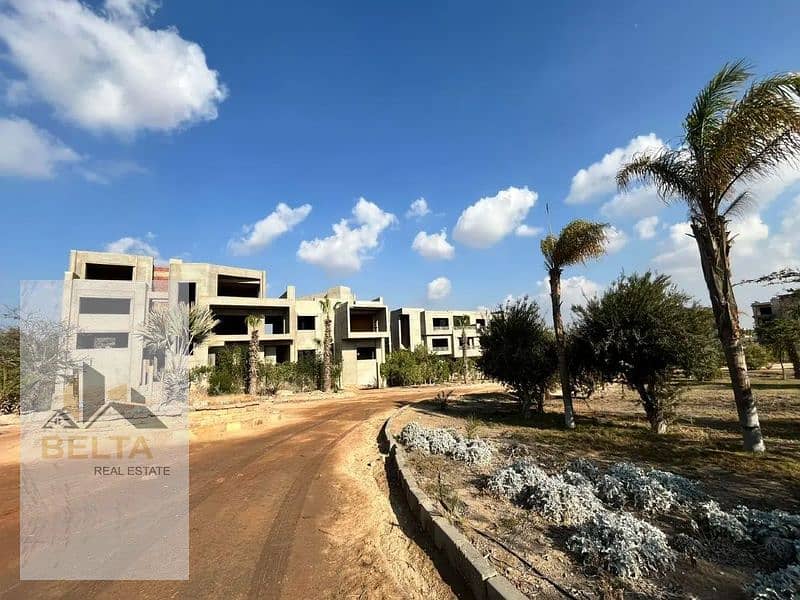 9 1312x894a_800x600. jpg