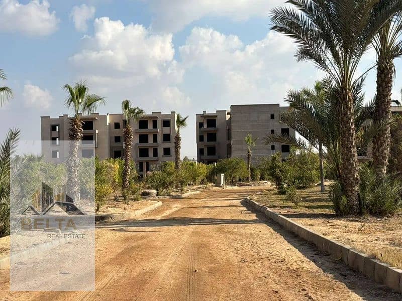 10 1312x894z_800x600. jpg