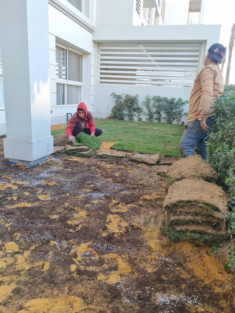 9 WhatsApp Image 2026-01-25 at 3.37. 01 PM. jpeg