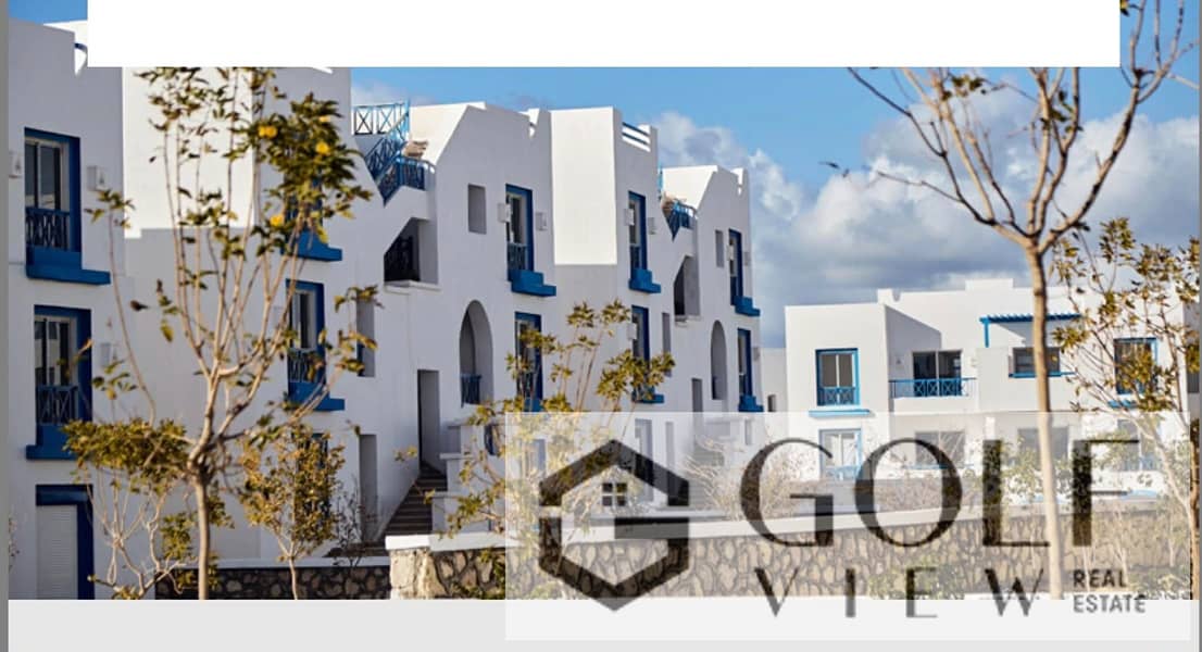 3 0ed4791c-b5b8-4b36-b9d6-3d335ef2890b. jpg