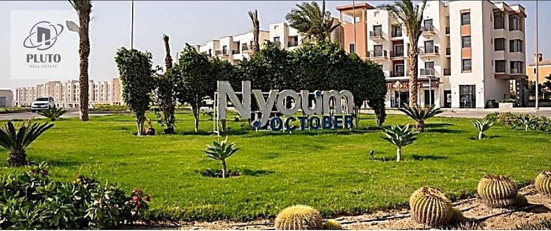 10 WhatsApp Image 2026-01-25 at 6.30. 56 PM. jpeg