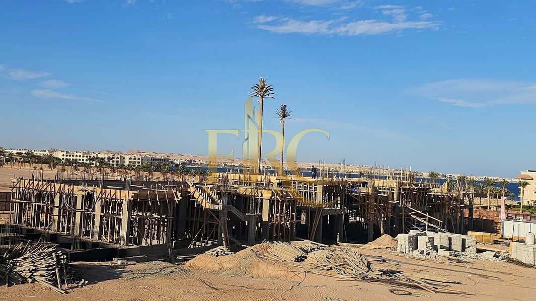 11 615436478_122187253562522136_4046977597524772353_n. jpg