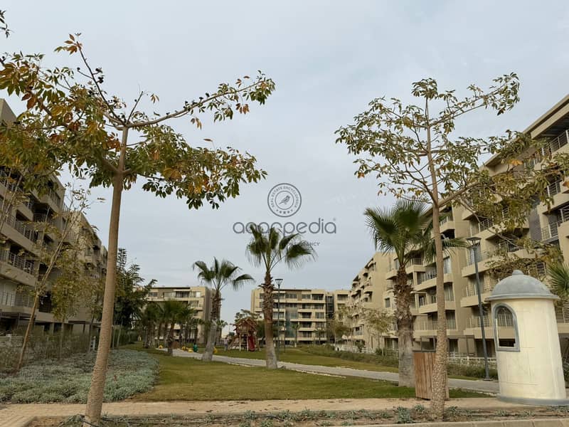 5 WhatsApp Image 2026-01-25 at 6.05. 20 PM (2). jpeg