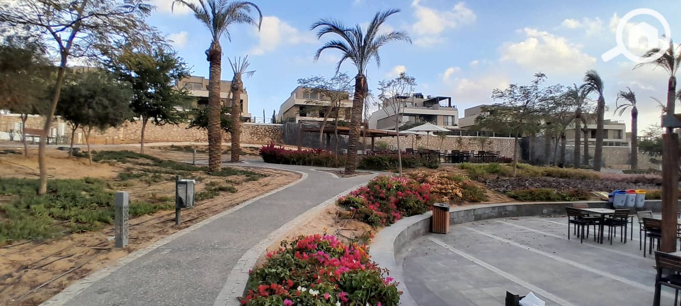 4 20260109_163239. jpg