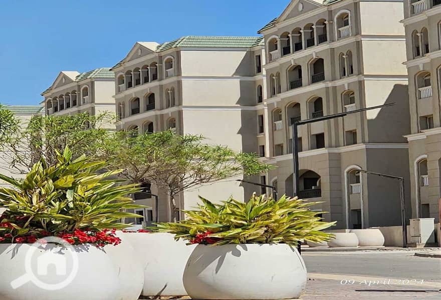 3 5e69291a-e224-4e89-b250-c20460eb92ea. jpg