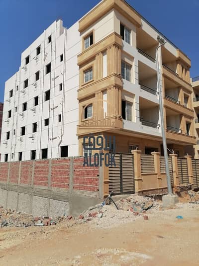 3 Bedroom Flat for Sale in New Cairo, Cairo - WhatsApp Image 2026-01-25 at 7.01. 38 PM (2). jpeg