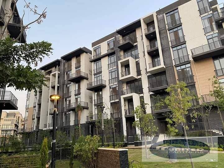 6 87a83b75-192e-4f97-888c-8a879f5cda8e. jpg