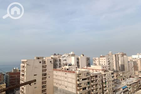 فلیٹ 3 غرف نوم للبيع في كامب شيزار، الإسكندرية - Untitled-2_0004_WhatsApp Image 2026-01-25 at 8.16. 50 PM (1). jpg