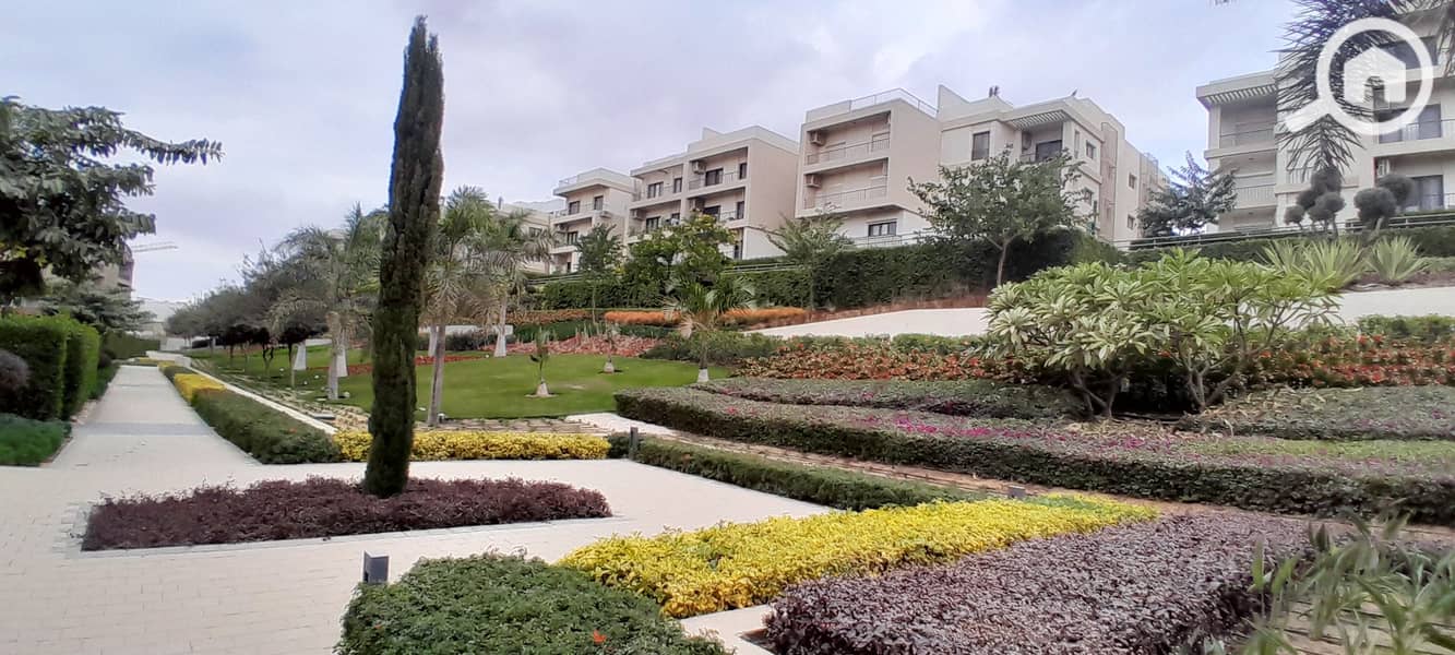 6 20251229_142408. jpg