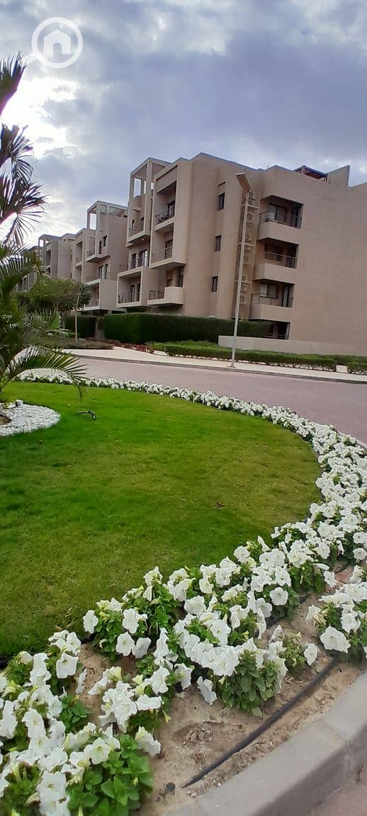 7 20251229_144136. jpg