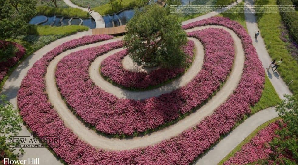 8 WhatsApp Image 2026-01-25 at 2.51. 17 PM. jpeg