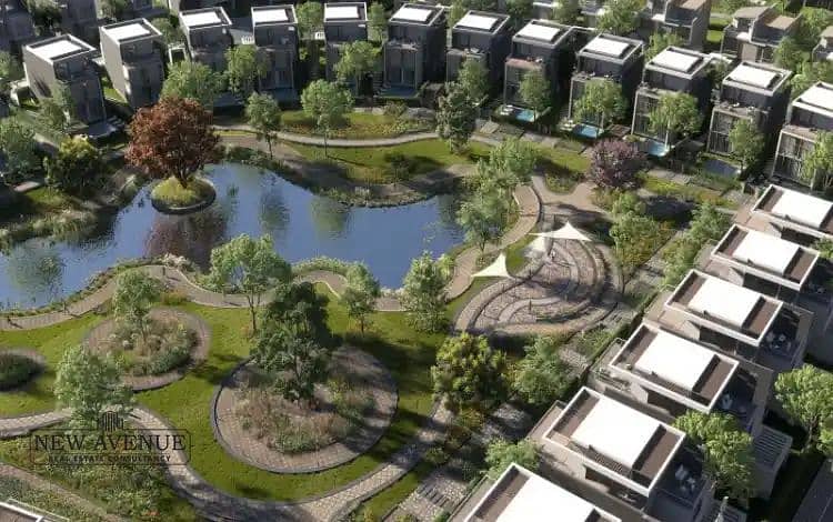 7 3e325f77-3e46-48ea-98b1-ebcdc516126f. jpg