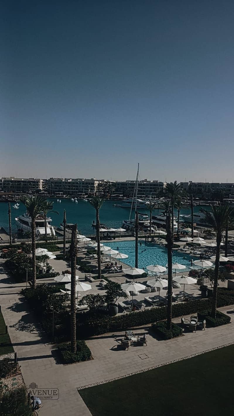 5 32ab6500-e4f6-4556-b7cc-2396fe20c896. jpg