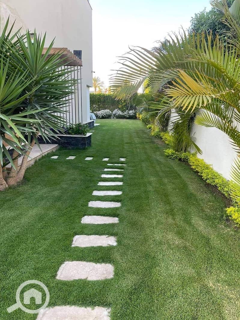 2 FB_IMG_1731062363958. jpg