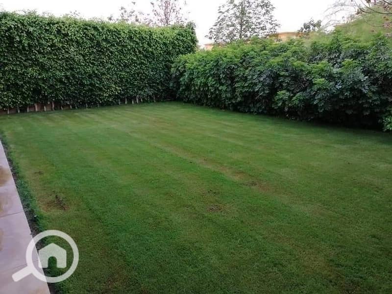 5 FB_IMG_1731062849182. jpg