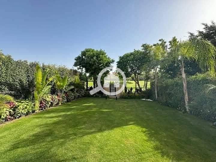 8 FB_IMG_1744176886148. jpg