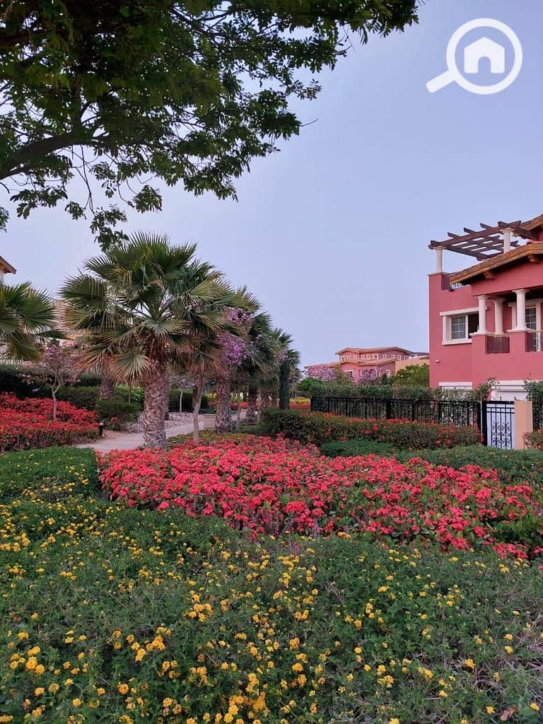 40766ab4-3f5d-4b29-acfc-2403e1b24be2. jpg 40766ab4-3f5d-4b29-acfc-2403e1b24be2. jpg