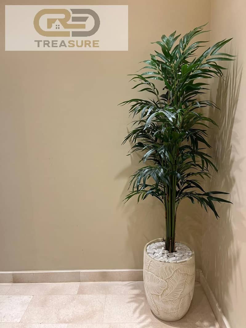 11 WhatsApp Image 2026-01-25 at 3.03. 35 PM. jpeg