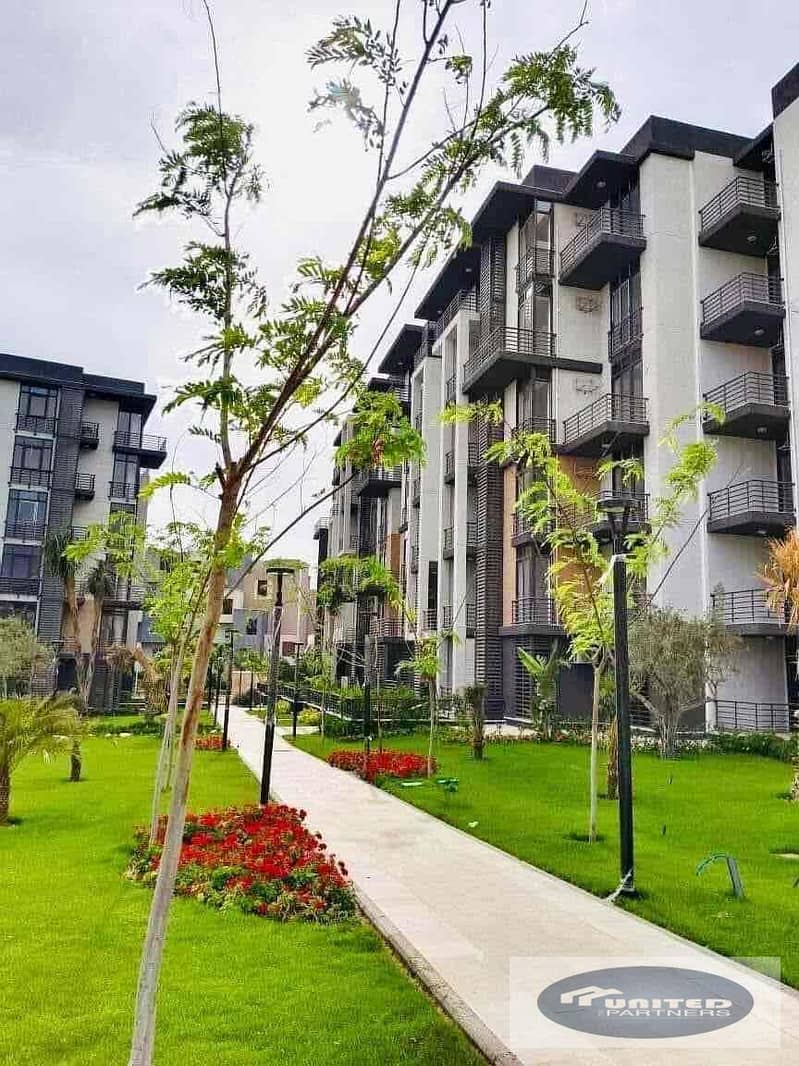 2 1a0315a6-d5c8-4e64-bced-18ad16bb28fb. jpg