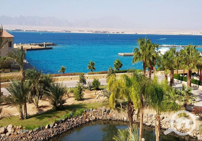 2 photo_2024-02-25_13-26-33. jpg