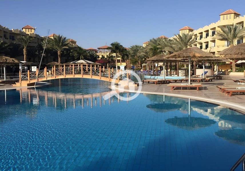 3 photo_2024-02-25_13-26-36. jpg