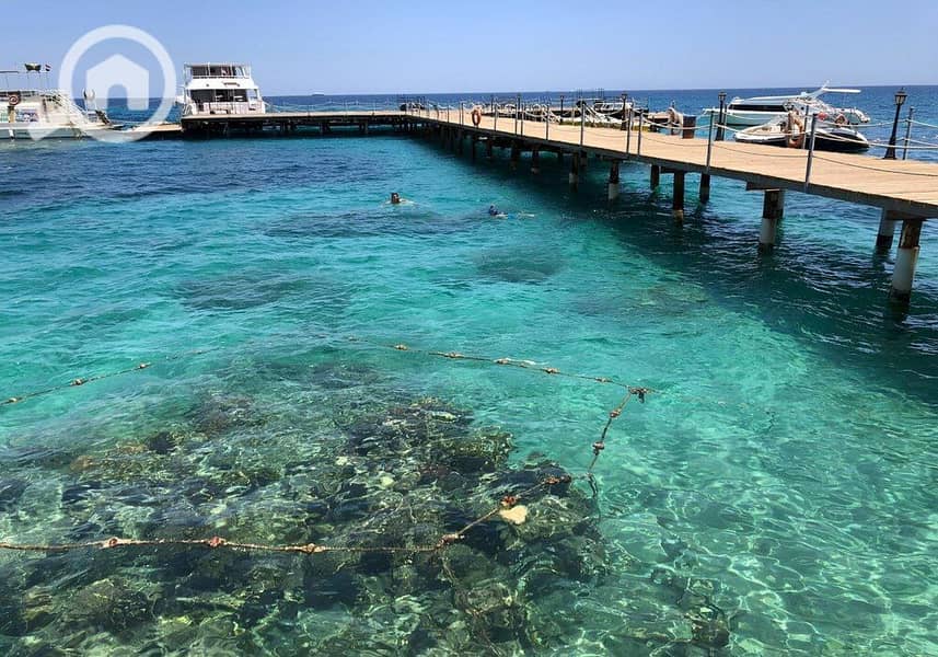 15 photo_2024-02-25_13-27-10. jpg