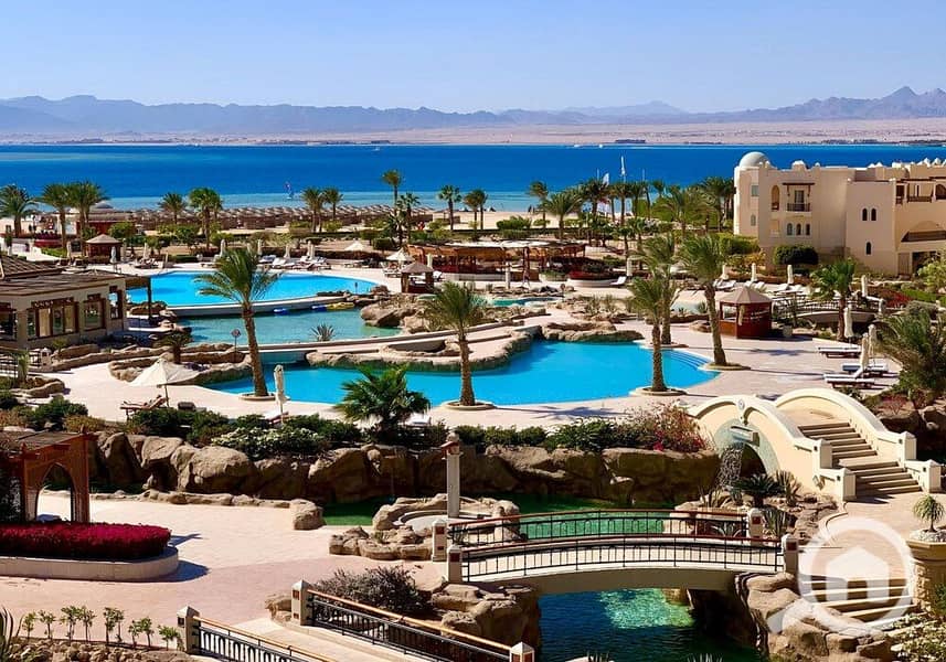 17 photo_2024-02-25_13-27-15. jpg