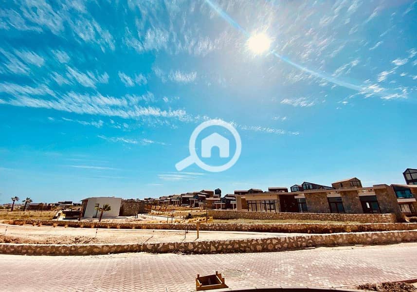 18 photo_2024-03-04_13-38-17. jpg