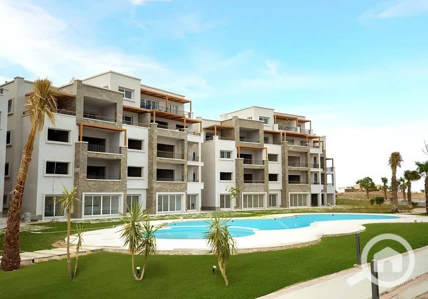 11 photo_2024-02-25_13-26-55. jpg