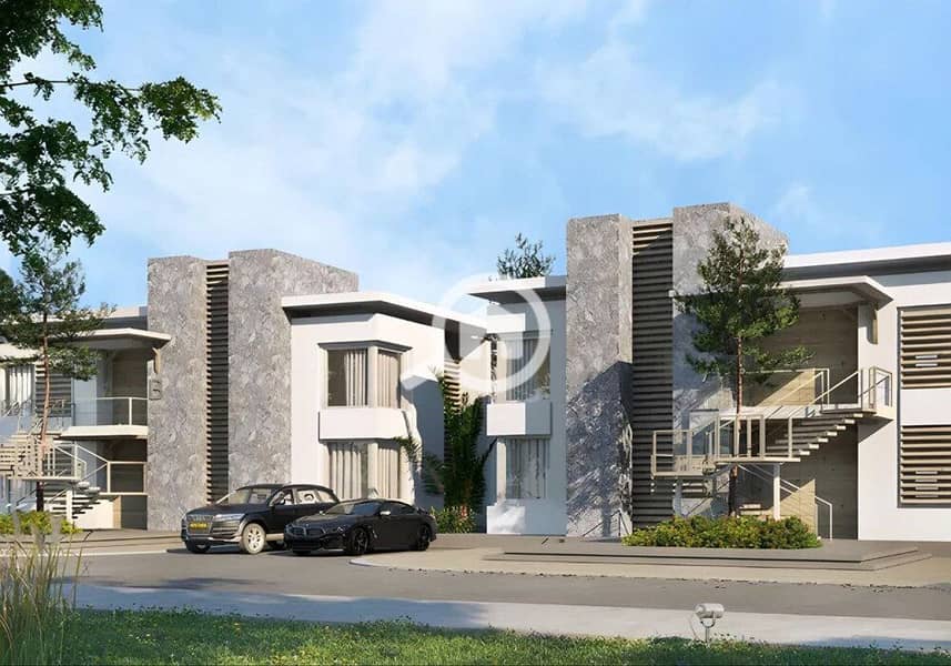 12 photo_2024-02-25_13-26-58. jpg