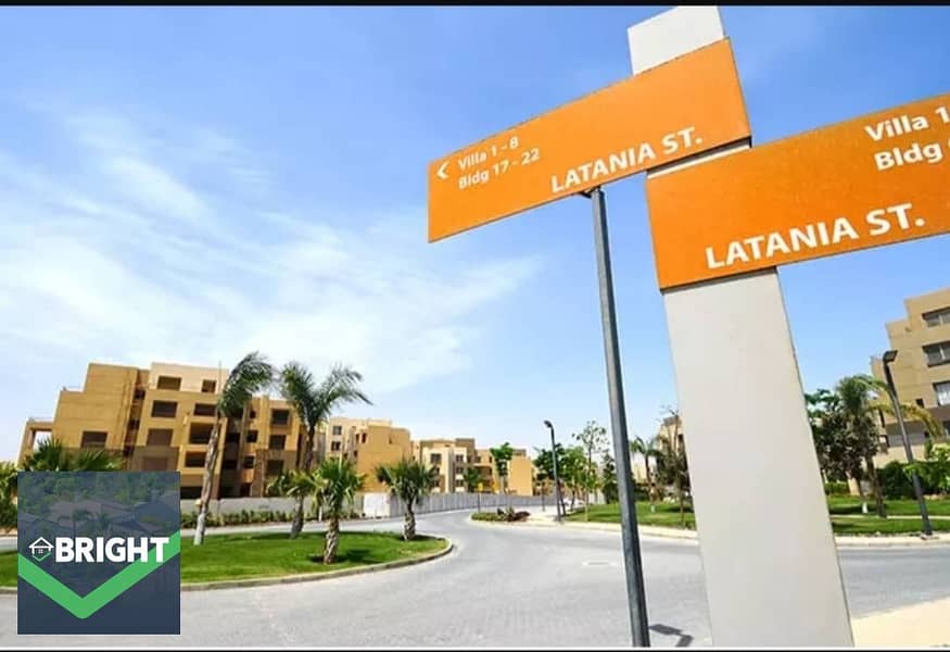 8 bc17efd4-0c14-48e2-85df-e2df698b10f7. jpg