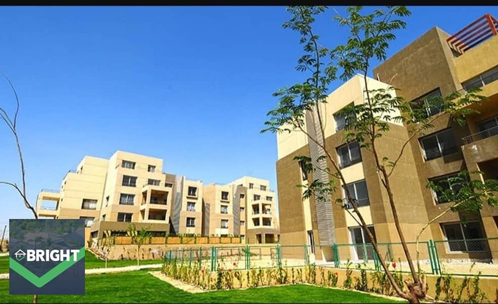 10 f8e8262f-78af-4b68-b17e-c6e9d666a545. jpg