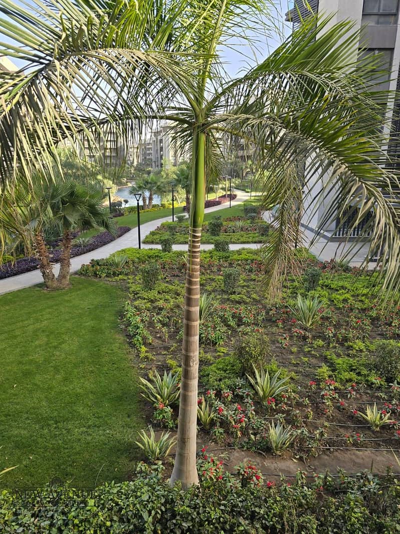 5 WhatsApp Image 2026-01-25 at 12.56. 47 PM. jpeg