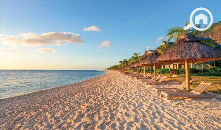 2 Details-About-Sequoia-North-Coast. jpg