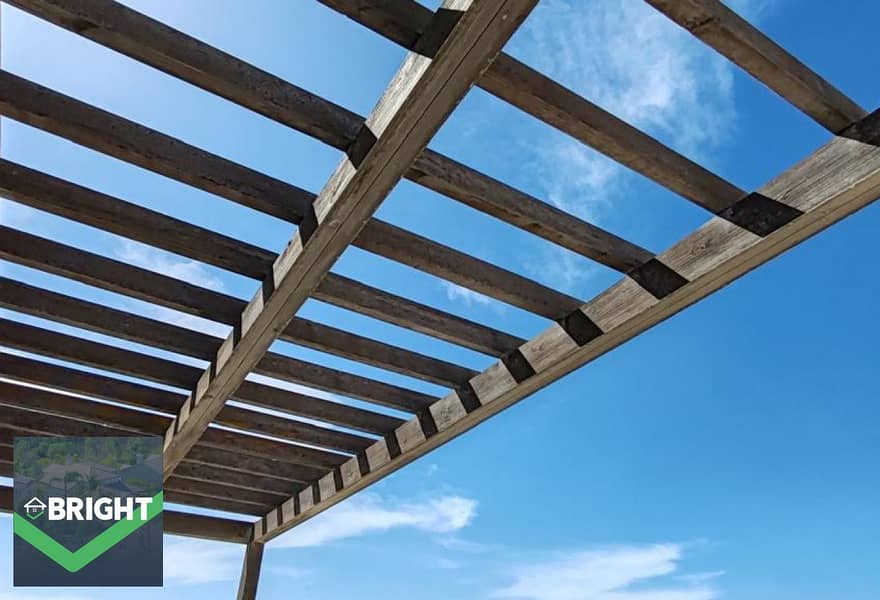 10 original (5). jpg